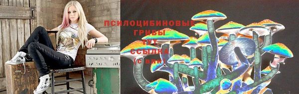 а пвп мука Кодинск