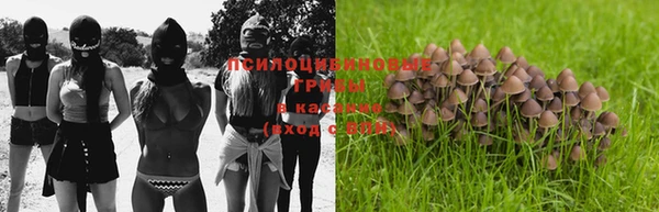 а пвп мука Кодинск
